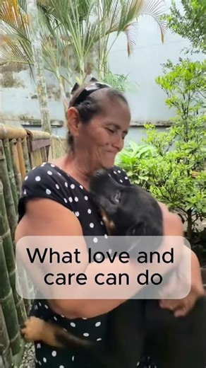 The result of giving street dogs a home 🐶❤️ #kindness #animals