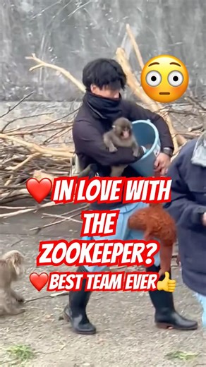 Punch the monkey helps the #zookeeper