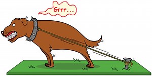 Got a reactive or aggressive dog? 🤬 Watch the video to find out if you're doing any of these 5 things that are making your dog's aggression worse... Then click below to learn how you can boost his social & emotional IQ so he's more calm and trustworthy around other dogs and people ==>> https://thedogtrainingsecret.com/ERTvideo/ | TheDogTrainingSecret.com