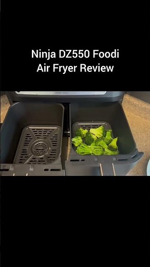 Ninja DZ550 Foodi Air Fryer Review | Best Air Fryer Review 2026