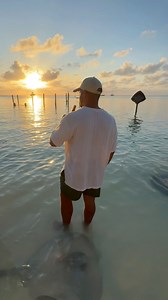 307K views · 5.2K reactions | Barefoot Caye Caulker Hotel provided me the best hospitality the last few days during my visit to Caye Caulker. It’s an island you must visit at least once! #Belize #belizetravel | Travel with Chelo | Facebook