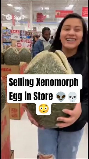 Xenomorph Egg in Store #sora2 #soraai #sora #aivideo #memes #alien #xenomorph #funny #aliens #shorts