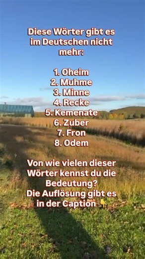 Diese Wörter gibt es im Deutschen nicht mehr