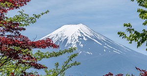 【2024年最新】日本人アーティストによる人気のNFT作品25選【有名事例付き】 | テックダイアリー