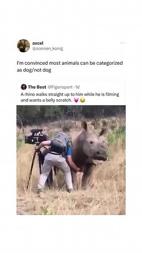 Video credit @morgan_pelt | Bad Science Jokes