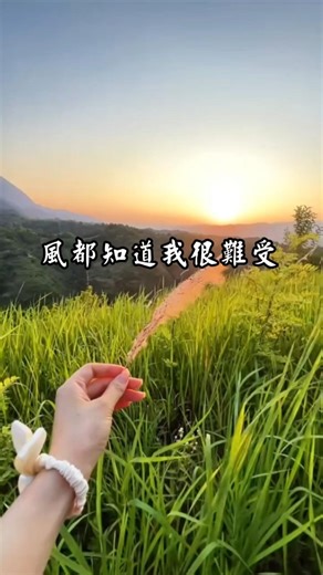 再也不問理由--執念是懲罰自己，釋懷才是與自己和解，困住你的從來不是別人，一直是自己。 #必聽熱門歌曲 #翻唱 #音樂 #music #shorts #新歌更新