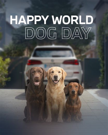 Parking made paws-sible 🐾 With Remote Control Parking and the Manoeuvre Assistant, your BMW takes care of parking with effortless precision – even in the tightest spots. Whether it’s parallel or perpendicular parking or manoeuvring your driveway, the technology is so advanced, even your dog is convinced he’s the one in control 🐶 #BMWGroup #WorldDogDay | BMW Group