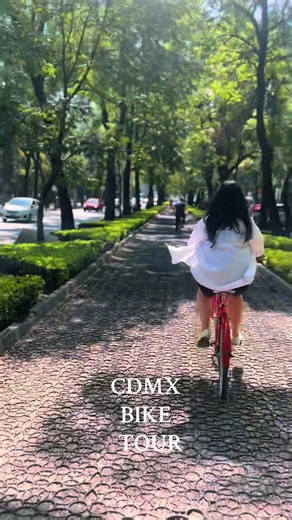 Just cruising #cdmx#biketour#chapultepec#mexico#ciudadmexico#bosquechapultepec#cruising
