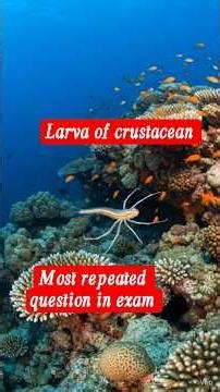 larval forms of crustacean। Arthropoda bsc1 MScpre #shorts #shortvideo #facts #animation #animals