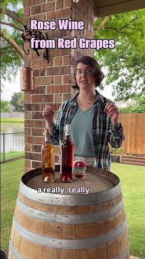 Making Rosé from Red Wine Grapes 🍇