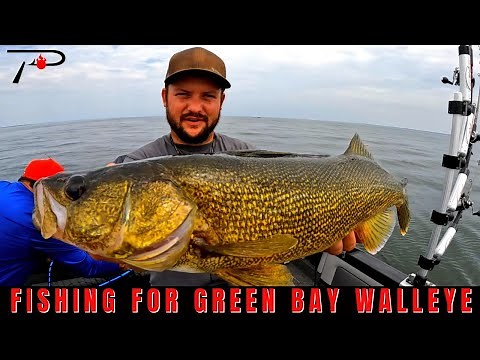Green Bay Walleye Fishing
