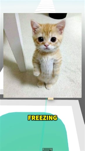 Why Getting Food at 3AM is so HARD😭 #roblox