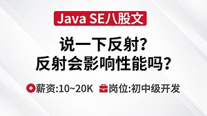 Java SE | 说一下反射？反射会影响性能吗？_哔哩哔哩_bilibili