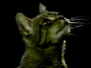 Meow Mix commercial from 1985