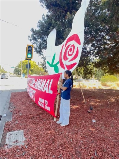 Direct Action Everywhere - SF Bay Area on Reels