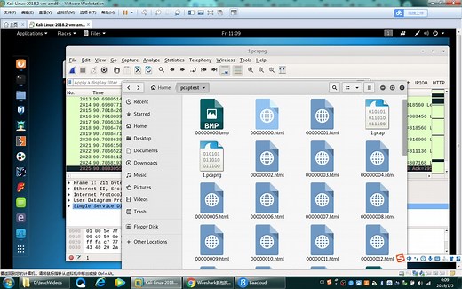 pcap封包文件还原工具tcpxtract使用方法