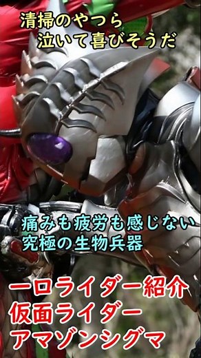 一口ライダー紹介272 痛みを消された最強のアマゾン「仮面ライダーアマゾンシグマ」 #仮面ライダー #仮面ライダーアマゾン