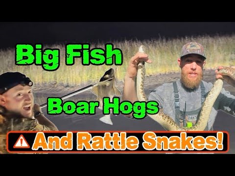 Hog doggin, Fish Giggin , and Rattle snakes OH MY!!!!