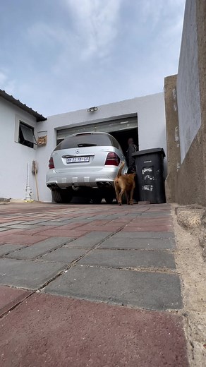 Diagnosing High Idling Issues in ML 63 AMG