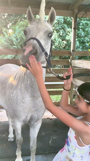 Watch Penny’s Halloween transformation into a unicorn #horse #equestrianjourney #
