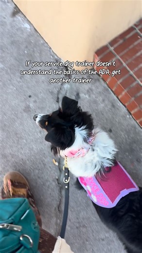 Kaitlyn Trevathan| Aussie & German Shepherd Coastal Dog Mom | Service dogs are not a cash grab. Training a “highly obedient dog” without task work is not service dog training, it’s selling a label... | Instagram