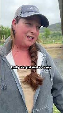 The magic at Dene Farm, Vermont's iconic Hildene