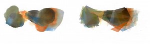 evolutionary states of distortion