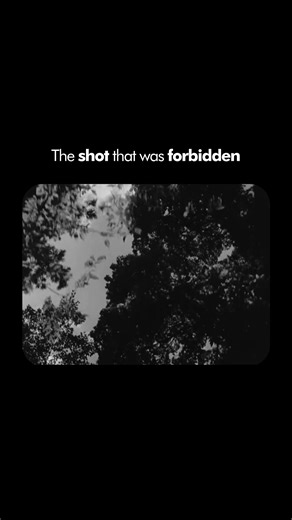 Rashomon (1950) Dir: Akira Kurosawa | DP: Kazuo Miyagawa The rule was simple: never point the camera at the sun. Miyagawa broke it. Forest scenes shot with direct sunlight through the canopy. Dappled light on faces. Moving shadows as branches sway. In 1950, this was considered technically impossible. Miyagawa proved it wasn't. But Kurosawa had another idea: use light as truth. Each witness tells the same story differently. Each version has different light. The bandit's version is harsh and brigh