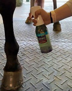 17 reactions | "We ❤️ our products from @FarnamHorse! Janelle loves to use their Vetrolin liniment spray on Brian’s top Grand Prix horses, after a jump school. It helps soothe and revitalize their tired muscles and stimulates blood flow to the joints and tendons. Anything we can do to help our horses feel their best is a win in our book!" -@sarakm_overlookf | Farnam Horse | Facebook