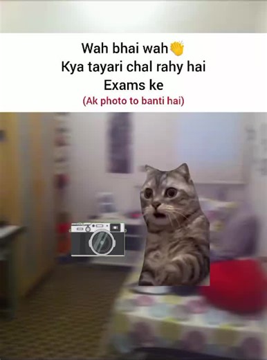 Shabash! Funny Meme Compilation