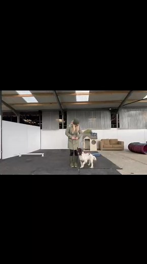 21K views · 378 reactions | *Flamingo* Flamingo is our fab ,young...