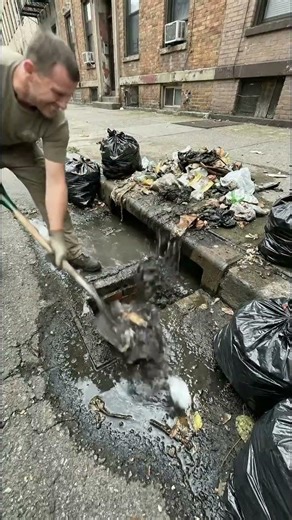 Complete Gutter Cleaning Process😮😯#CleanGutter#BlockedGutter#GutterCare#HomeImprovement#shots
