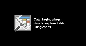 Data Engineering: How to explore fields using charts