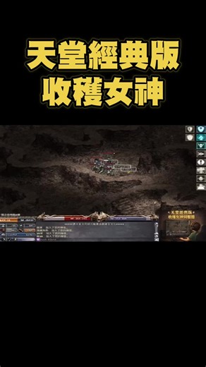 #天堂#天堂經典版 #收穫女神 #敏捷項鏈