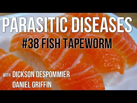 Parasitic Diseases Lectures #38: Fish Tapeworm