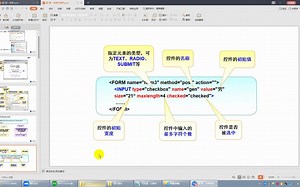 8.form表单和表单元素
