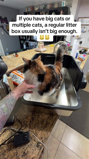 XL Stainless Steel Litter Box for Multi-Cat Homes