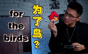 【口语控】for the birds意思是“为了鸟”？！别逗了~