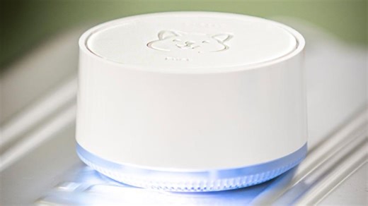 Quokka: ‘World’s first’ quantum computing consumer product is here