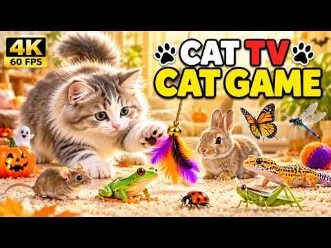 🎃 CAT GAMES | Halloween Cat TV – Rabbits, Frogs, Lizards & Bugs | 4K 60FPS