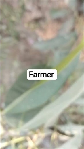 bitte um I am video fa #farming #desiviilagelifetstyle #desiviilagelifetstyle #ekmotahathighumechala