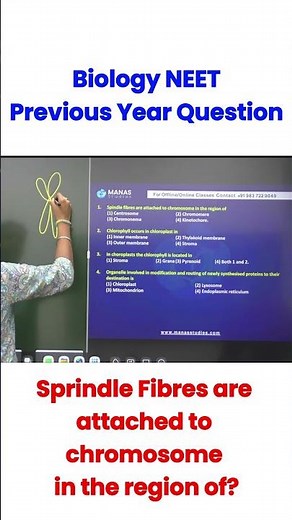 Master Cell Division: How Spindle Fibers Connect at the Kinetochore!| Learn Biology #neet #biology