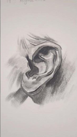 anatomy of ear👂 inspired by Proko #proko #sketch #art #artist #drawing