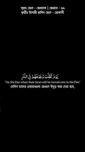 Surah Al-Ahzab 66–68 | Beautiful Recitation by Mishary Rashid Alafasy 🤍