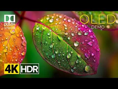 The Most Spectacular OLED Demo In 4k Dolby Vision - HDR Video 120fps