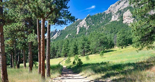 Mesa Trail to Bear Canyon Creek - Day Hikes Near Denver