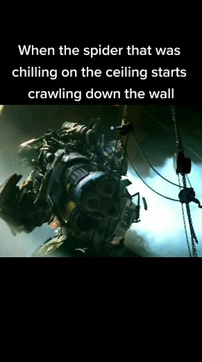 Spider Meme Transformers: Optimus Prime Stay Back