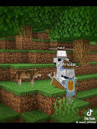 POV : You and bro start a new Minecraft world. #shorts #minecraft #brother #multiplayer #viral