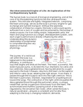 Cardiopulmonary Health Care Worksheet for Sub-Plan or Classwork & Homework