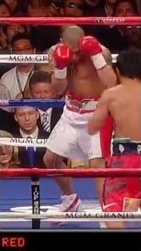 Manny Pacquiao vs Miguel Cotto #boxing #knockout #mma #box #sports #fighter #ufc #combat #champion